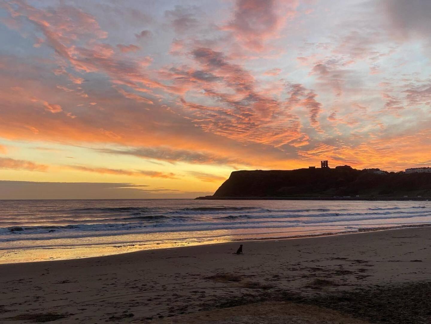 Aparthotel Bay View - Amazing Location With Sea Views! Scarborough Esterno foto